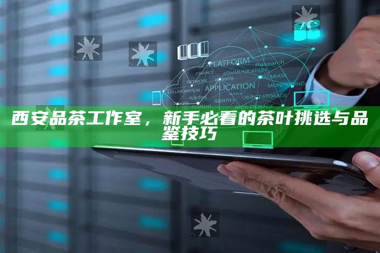 新手必看，西安品茶工作室的茶叶挑选与品鉴技巧